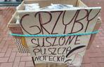 Suszone grzyby w Łodzi. Sprawdź, ile za nie zapłacisz