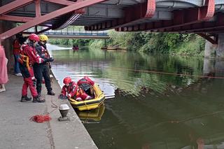 Wsiadła do autobusu, od 17 lat nie dojechała do domu. Nagły zwrot w sprawie Małgorzaty!