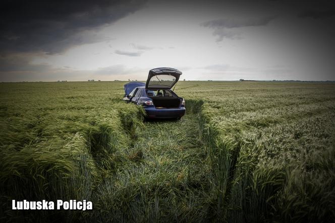 Dramatyczny pościg w Lubuskiem. Policjanci ostrzelali skradziony samochód