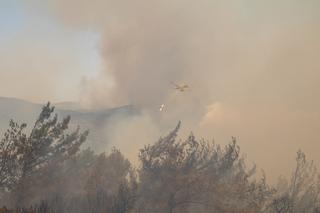 Grecja płonie. Dramatyczne relacje Polaków z Rodos