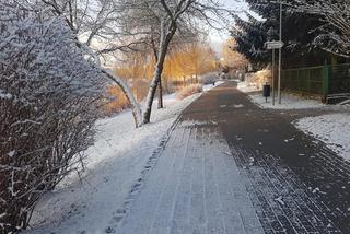 Olsztyn: W ostatni dzień marca spadł śnieg