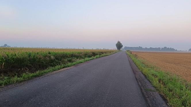 Tajemniczy wypadek pod Gnieznem. 32-latek zginął na prostej drodze