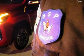 Groza na Śląsku. 14-latka wyszła z domu i zniknęła, szukały jej służby i zrozpaczeni rodzice. Dziewczynkę znaleziono w lesie