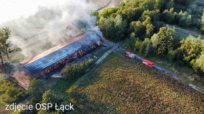 Pożar w Stadzie Ogierów w Łącku pod Płockiem