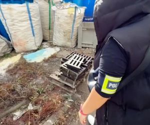 Złodziej włazów wpadł na gorącym uczynku! Koniec złotego interesu