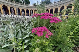 Nowa atrakcja Wrocławia. Bastion Sakwowy otwarty dla wszystkich 