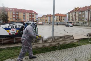 Koronawirus w Koszalinie. Wielka dezynfekcja miasta! Odkażane są ławki i przystanki