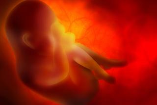 4 miesiąc ciąży: płód ma już linie papilarne