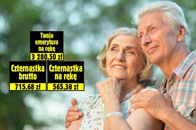 14. emerytura