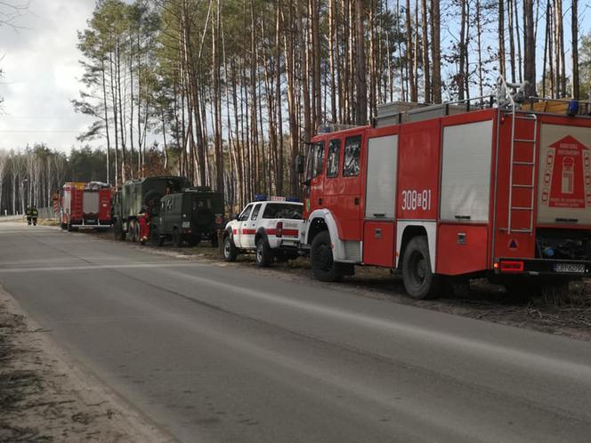 Kolejny dzień poszukiwań Małgorzaty Nawrockiej