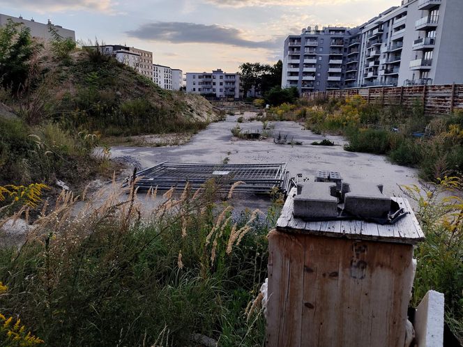 Michał S. Zatrzymany i aresztowany tymczasowo