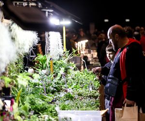 Kolorowy świat egzotyki w MCK. Tak wyglądał Exotic Fest