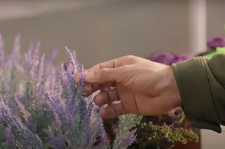 Wichrowe wzgórze 74 - streszczenie 