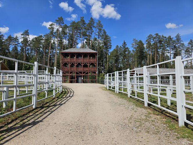 Kopna Góra