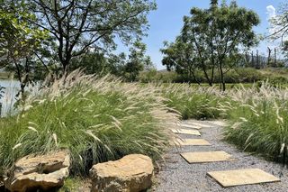 Ścieżka w ogrodzie