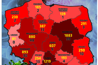 Rośnie liczba ofiar koronawirusa na Śląsku! Są też nowe zakażenia