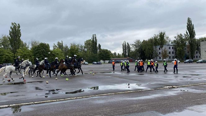 Ćwiczenia policjantów i strażników miejskich