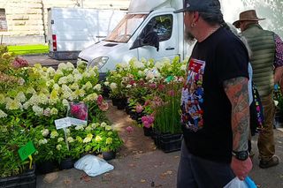 50. edycja kiermaszu Pamiętajcie o ogrodach