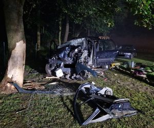 Rabinówka. Pijana 22-latka bez prawa jazdy uderzyła w ogrodzenie i drzewo