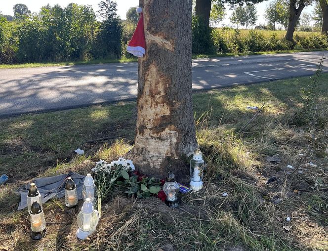 Tragiczny wypadek w Zalesiu. Nie żyje 23-letni kierowca BMW