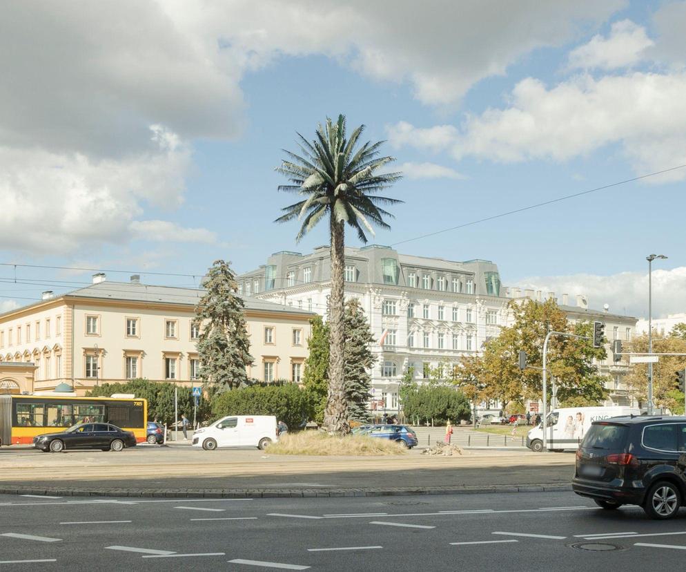 Warszawska palma zmieniła właściciela. Teraz czeka ją metamorfoza