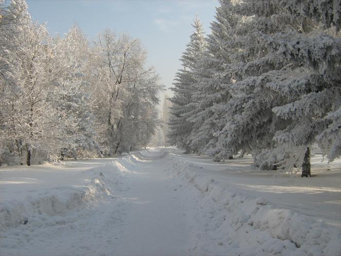 Zima w mieście w Kazachstanie