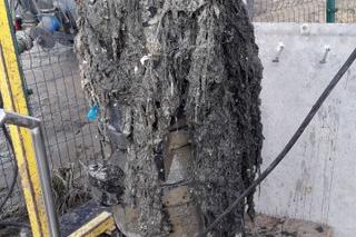 Polacy wrzucają to do toalety, nie wiedzą że mogą tego pożałować. Nawet 150 tysięcy zł