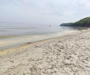 Plaża w Gdyni Śródmieściu. Żółta woda w Bałtyku