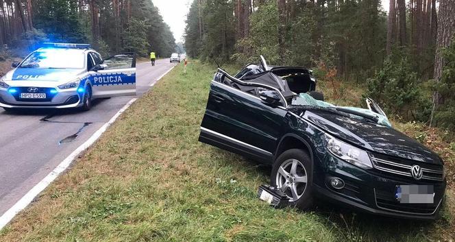 Drzewo spadło na volkswagena. Turysta z Krakowa utknął w aucie