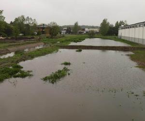 Katowice: Tereny wokół Lidla przy dolinie rzeki Mlecznej zalane. Na zakupy kajakiem?