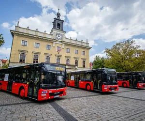 Ostrów. Więcej pasażerów w MZK