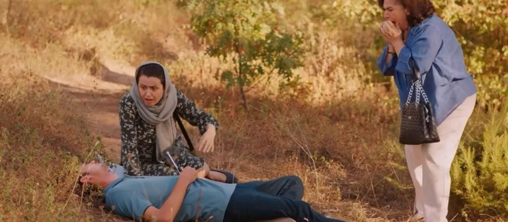 Miłość i nadzieja odc. 259. Alper, Naciye, Cavidan