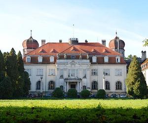 Pałac w Brynku - zobacz zdjęcia pięknej rezydencji magnackiej. Jak wygląda w środku?