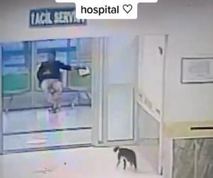 Kot sam przyszedł do szpitala! Miał złamaną łapkę