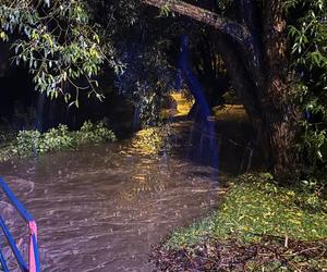 Ustroń pod wodą po nocnej ulewie. Po północy wylał potok Młynówka. Pod wodą wiele ulic i domów