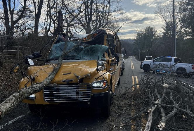 Drzewo runęło na szkolny autobus w New Jersey