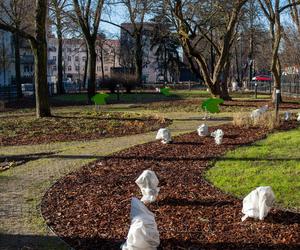 Plac Komuny Paryskiej w budowie. Kiedy spodziewany koniec prac?