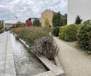 Park im. Wisławy Szymborskiej w Krakowie