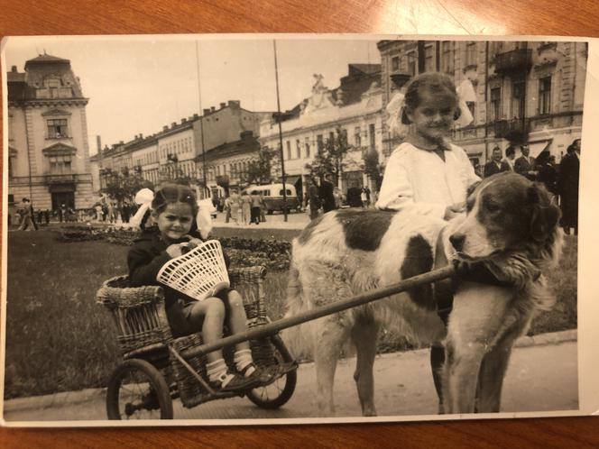 Pokolenie fotografów Sztompke przy pl. Konstytucji 3 maja