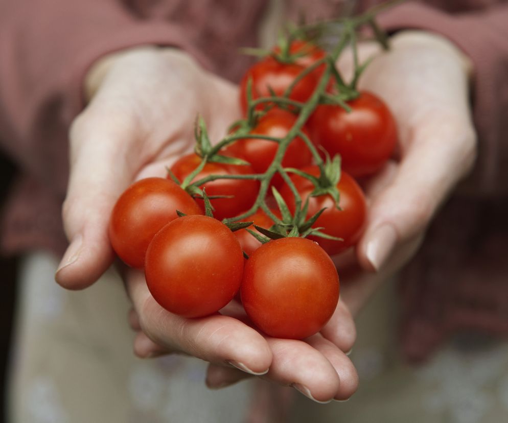 Likopen w pomidorach zmniejsza ryzyko zawału i rozwoju nowotworów