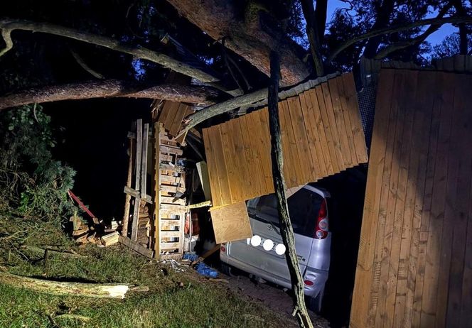 Wola Łaskarzewska: Drzewo przewróciło się na garaż
