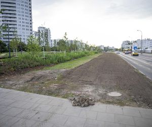 Największy park w Polsce
