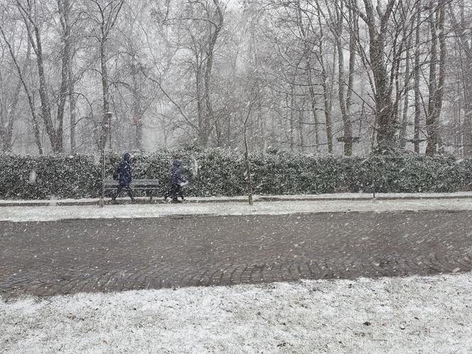 Dziś (19.03.) ostatni dzień zimy. Jutro (20.03.) początek astronomicznej wiosny