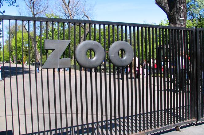 Warszawskie Zoo ma już 90 lat