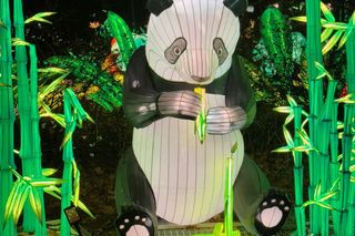 Garden of Lights w ZOO Wrocław