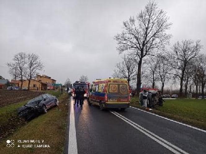 Tragiczny wypadek pod Kutnem. Niepełnosprawne dzieci wyleciały z drogi! W Akcji LPR [ZDJĘCIA]