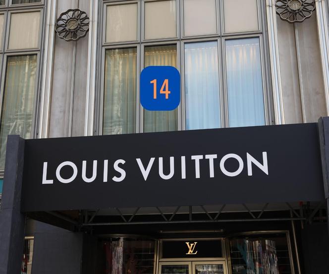 14. Louis Vuitton