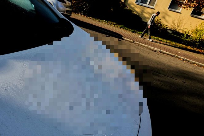 Hanau. Swastyki z ludzkiej krwi na 50 samochodach [ZDJĘCIA].