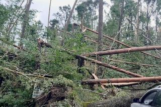 Zakaz wstępu do lasów pod Olsztynem. Zagrożenie na terenie trzech leśnictw