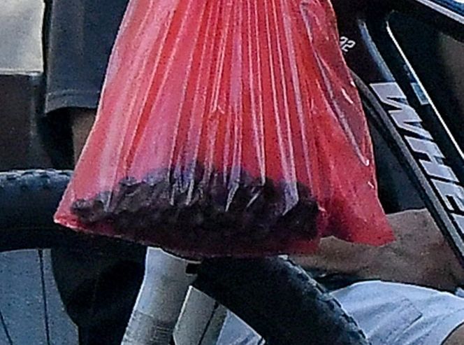 Robert Więckiewicz na rowerze